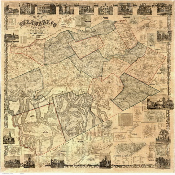 Old Map of Delaware Co NY, 1856 Wall Map