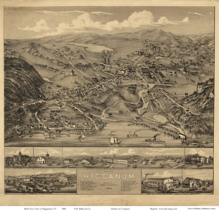 Bird's Eye of Higganum CT1881