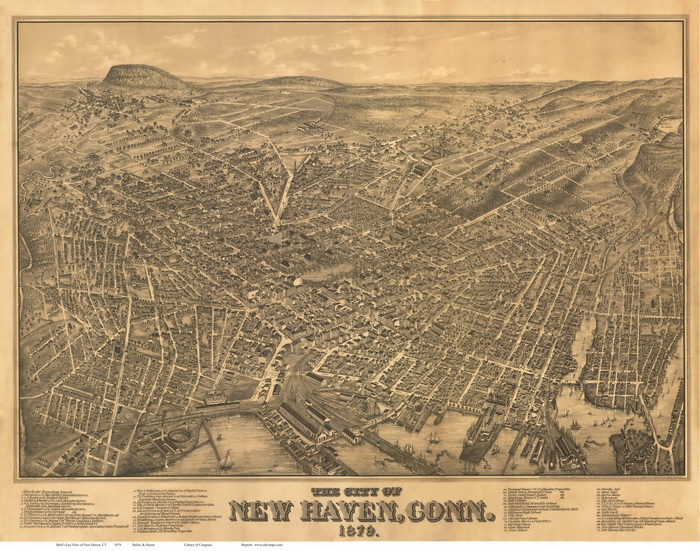 Bir'ds Eye of New Haven CT 1879